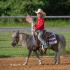 Hernando Saddle Club